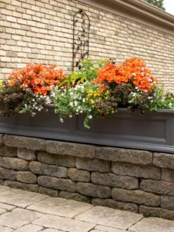Fairfield Self-Watering Window Box, 5’ -Green Leaf Tools & Supplies Sales Store 8588938 105V tif