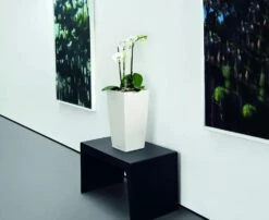 Lechuza® Cubico Color Tall Self-Watering Planters -Green Leaf Tools & Supplies Sales Store 8589485 03V tif