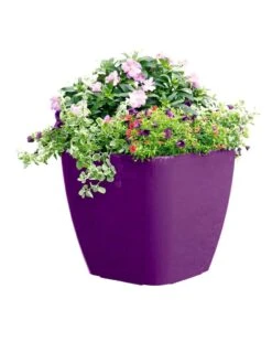 Viva Square Self-Watering Rolling Planter, 17.5" Diameter -Green Leaf Tools & Supplies Sales Store 8589778PR 6126 tif