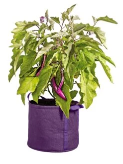 Gardener's Best® Universal Grow Bag -Green Leaf Tools & Supplies Sales Store 8590024PR 214 tif
