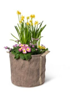 Gardener's Best® Universal Grow Bag -Green Leaf Tools & Supplies Sales Store 8590024 7307 tif