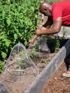Chicken Wire Cloche With Extension -Green Leaf Tools & Supplies Sales Store 8590210 0442 tif