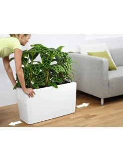 Lechuza® Cararo Rectangular Indoor Planter With Casters -Green Leaf Tools & Supplies Sales Store 8590295 03v
