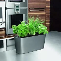 Lechuza® Delta Self-Watering Windowsill Planters -Green Leaf Tools & Supplies Sales Store 8590298 02V tif