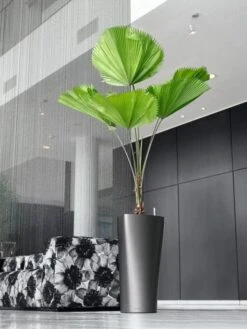 Lechuza® Delta Premium Self-Watering Planters -Green Leaf Tools & Supplies Sales Store 8590299 02V tif