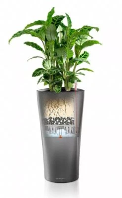 Lechuza® Delta Premium Self-Watering Planters -Green Leaf Tools & Supplies Sales Store 8590299 05V tif