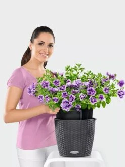 Lechuza® Nido Cottage Wicker Hanging Planter -Green Leaf Tools & Supplies Sales Store 8591154GT 006V tif