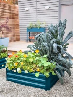 Demeter Corrugated Metal Raised Bed, 34" X 34"