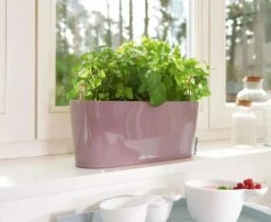 Lechuza® Delta Self-Watering Windowsill Planters -Green Leaf Tools & Supplies Sales Store 8592361 01V tif
