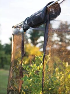 Storm Proof Crop Cage, Large 12 Storm Proof Crop Cage, Large -Green Leaf Tools & Supplies Sales Store 8592463 115 tif