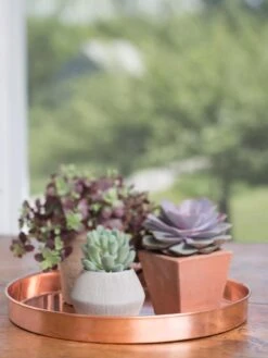 Large Round Copper Plant Tray, 14" 11 Large Round Copper Plant Tray, 14" -Green Leaf Tools & Supplies Sales Store 8593531 4518 tif