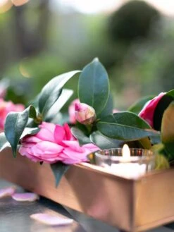 Rectangular Copper Plant Tray, 18"x4" -Green Leaf Tools & Supplies Sales Store 8593532 02IN tif