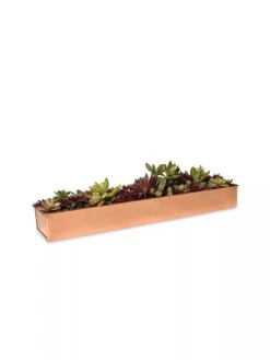 Rectangular Copper Plant Tray, 18"x4" -Green Leaf Tools & Supplies Sales Store 8593532 2892 tif