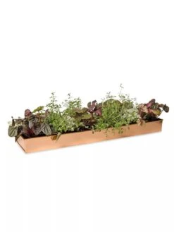 Rectangular Copper Plant Tray, 24" X 5" -Green Leaf Tools & Supplies Sales Store 8593533 2878 tif