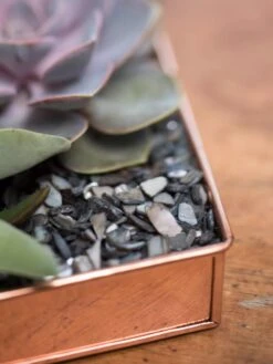 Rectangular Copper Plant Tray, 24" X 5" -Green Leaf Tools & Supplies Sales Store 8593533 4570 tif