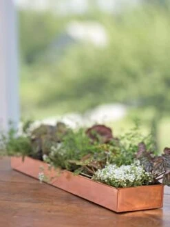Rectangular Copper Plant Tray, 24" X 5" -Green Leaf Tools & Supplies Sales Store 8593533 4626 tif