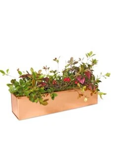 Tall Rectangular Copper Plant Tray, 18" X 5" X 4" 8 Tall Rectangular Copper Plant Tray, 18" X 5" X 4" -Green Leaf Tools & Supplies Sales Store 8593534 2899 tif