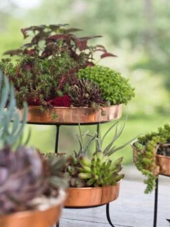 Small Round Copper Plant Tray, 10" -Green Leaf Tools & Supplies Sales Store 8593564 4399 tif