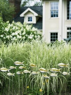 Fish Out Of Water Garden Stakes, Set Of 5 -Green Leaf Tools & Supplies Sales Store 8593672 9124 tif