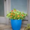 Viva Round Self-Watering Rolling Planter, 17.25” Diameter