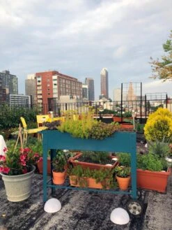 Demeter Mobile Planter Cart 12 Demeter Mobile Planter Cart -Green Leaf Tools & Supplies Sales Store 8594148 01CUST tif