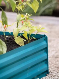 Demeter Corrugated Metal Raised Bed, 34" X 34" -Green Leaf Tools & Supplies Sales Store 8594183 470 tif