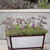 Short Galvanized Self-Watering Trough Planter