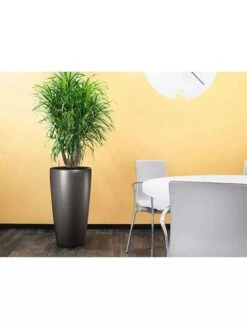 Lechuza® Rondo Self-Watering Planters -Green Leaf Tools & Supplies Sales Store 8594586 02V tif