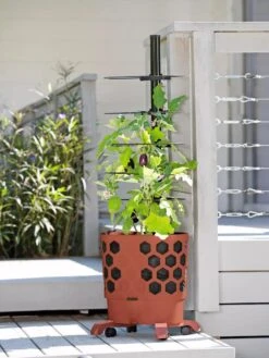 Gardener's Revolution® Tomato Planter -Green Leaf Tools & Supplies Sales Store 8594743 2618 tif