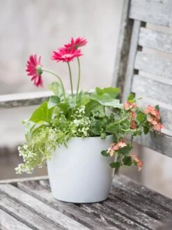 Viva Round Self-Watering Planter, 7" Diameter -Green Leaf Tools & Supplies Sales Store 8595222 1139 tif