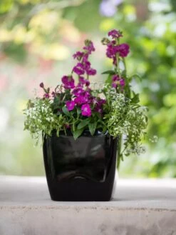 Viva Square Self-Watering Planter, 7" Diameter -Green Leaf Tools & Supplies Sales Store 8595223 1107 tif