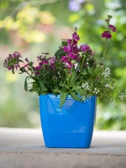 Viva Square Self-Watering Planter, 7" Diameter -Green Leaf Tools & Supplies Sales Store 8595223 1113 tif