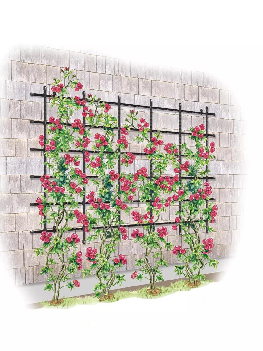 Titan Customizable Wall Trellis 1 Titan Customizable Wall Trellis