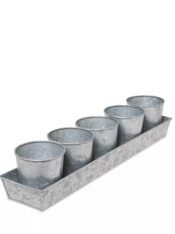 Galvanized Herb Planters With Rectangular Tray 7 Galvanized Herb Planters With Rectangular Tray -Green Leaf Tools & Supplies Sales Store 8595903 3924 tif