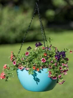 Viva Self-Watering Hanging Basket, 14" Diameter -Green Leaf Tools & Supplies Sales Store 8596442 0859 tif