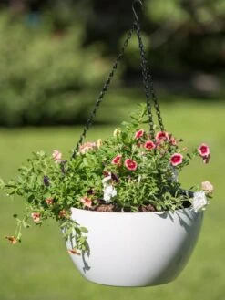 Viva Self-Watering Hanging Basket, 14" Diameter -Green Leaf Tools & Supplies Sales Store 8596442 0864 tif