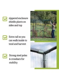 Crop Cage, 4' X 12' -Green Leaf Tools & Supplies Sales Store 8596540 4