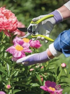 Gardener's Pro Pruner #2 -Green Leaf Tools & Supplies Sales Store 8596605 1261 tif