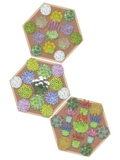 Pollinator Garden Bed -Green Leaf Tools & Supplies Sales Store 8597000 Hummingbird Plan tif