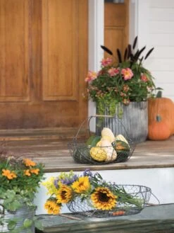 Galvanized Rim Planters -Green Leaf Tools & Supplies Sales Store 8597379 1625 tif