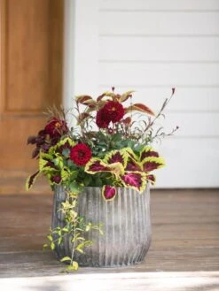 Galvanized Ribbed Planters -Green Leaf Tools & Supplies Sales Store 8597435 1693 tif