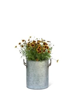 Galvanized Rim Planters -Green Leaf Tools & Supplies Sales Store 8597442 1705 tif