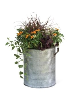 Galvanized Rim Planters -Green Leaf Tools & Supplies Sales Store 8597443 1704 tif