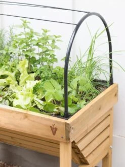 VegTrug® Mini Wallhugger Planter With Cover -Green Leaf Tools & Supplies Sales Store 8598339 4004 tif