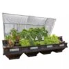 Vegepod Raised Garden Beds