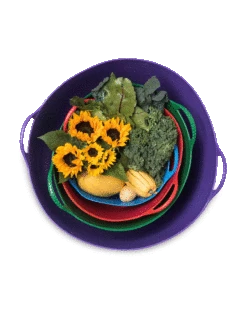 Colorful Tubtrug, 3-1/2 Gallon -Green Leaf Tools & Supplies Sales Store 8599088 20GalTubTrug gif 1