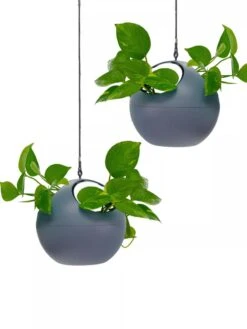 Exaco Euro Hanging Planters, Set Of 2 -Green Leaf Tools & Supplies Sales Store 8599179 04V tif
