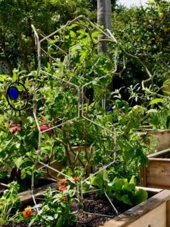 Gardener's Vertex Lifetime Pepper And Eggplant Cage -Green Leaf Tools & Supplies Sales Store 8599554 01CUST tif