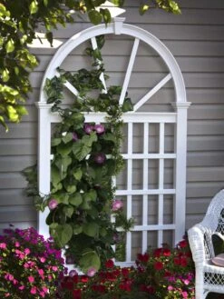 Vienna Vinyl Trellis