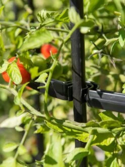 Titan Tomato Cages, Set Of 3 -Green Leaf Tools & Supplies Sales Store 8599861 0079 tif 1